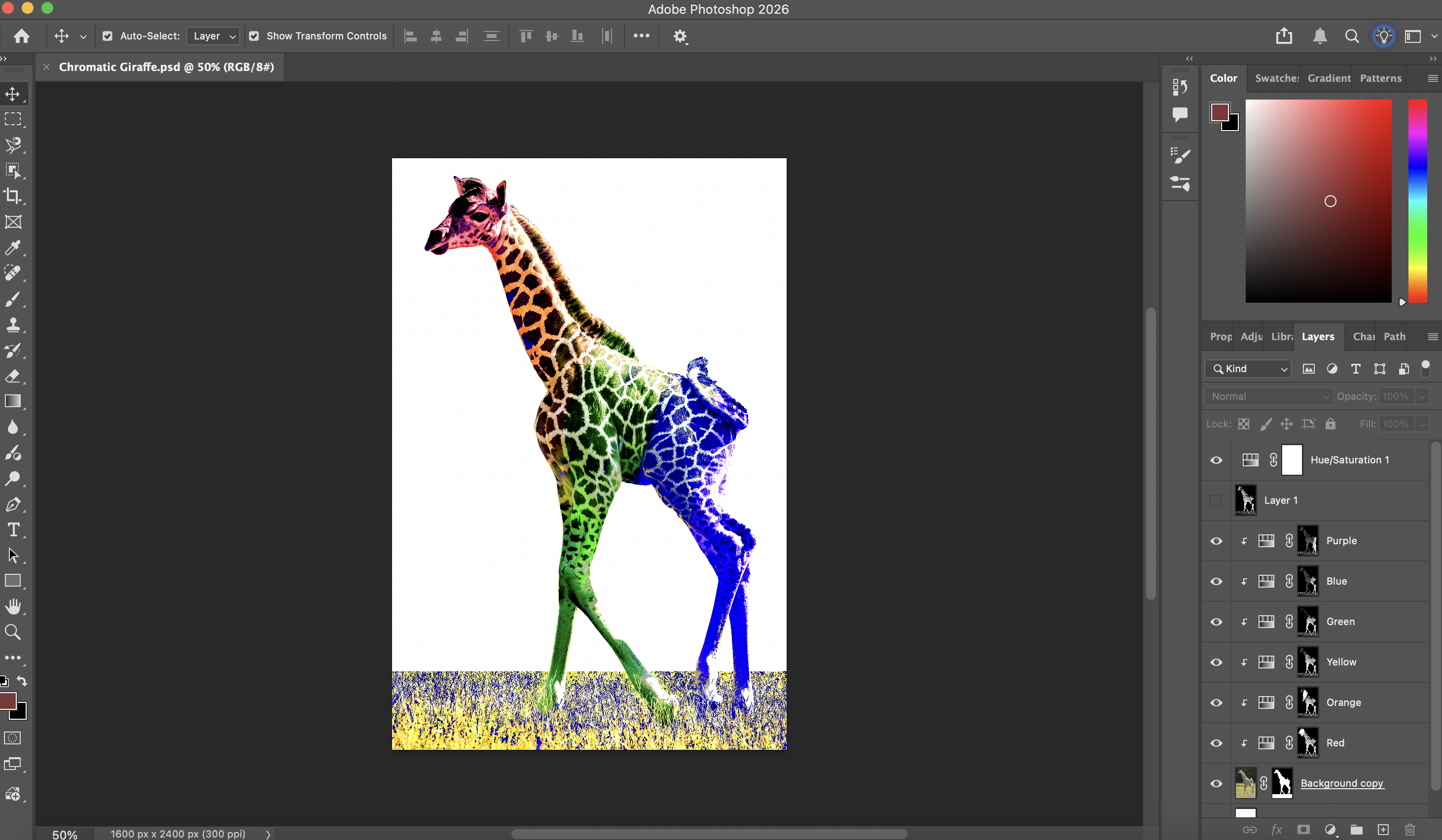 Chromatic Giraffe